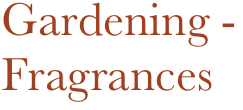 Gardening -
Fragrances